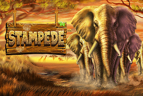 slot Stampede Stampede