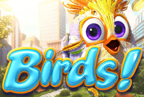 slot Birds Birds