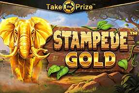 slot STAMPEDE GOLD STAMPEDE GOLD