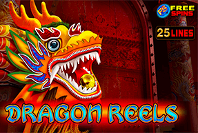 slot Dragon Reels Dragon Reels