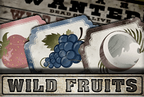 slot Wild Fruits Wild Fruits