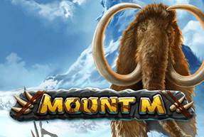slot Mount M Mount M