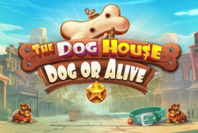 slot The Dog House Dog or Alive The Dog House Dog or Alive