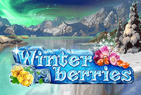 slot Winterberries Winterberries