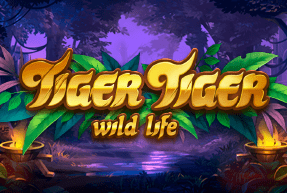 slot Tiger Tiger Tiger Tiger