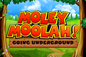 slot Moley Moolah Moley Moolah